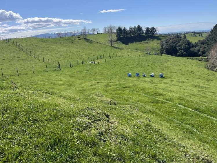 481 Honikiwi Road RD3 Otorohanga_2