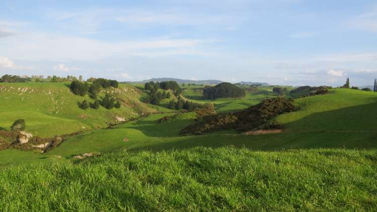 356 Whatauri Road Wharepapa South_22