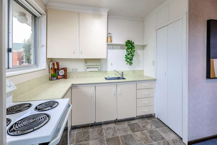 266a Pine Hill Road Liberton_9