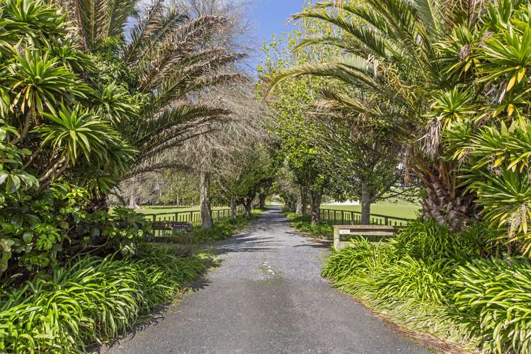 1041 Horotiu Road Te Kowhai_4