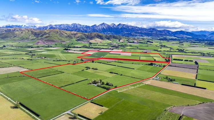 677 Pig Saddle Road_0