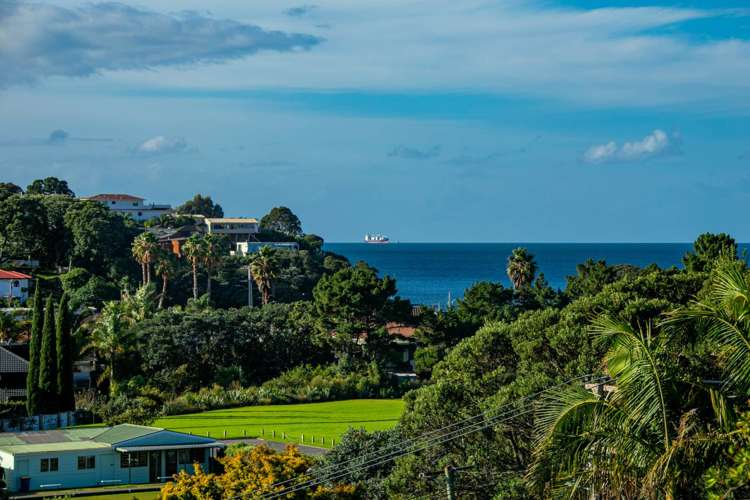 2/3 Seaview Road Milford_28