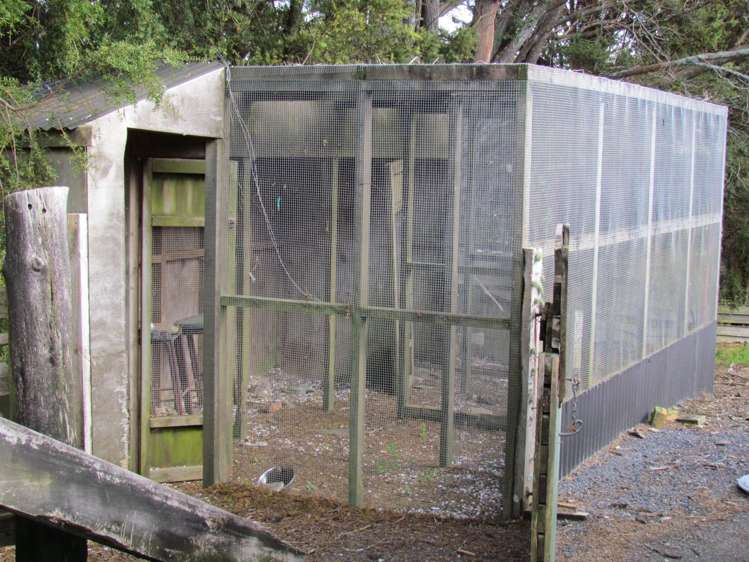 227 Mangahui Road Whareora_13