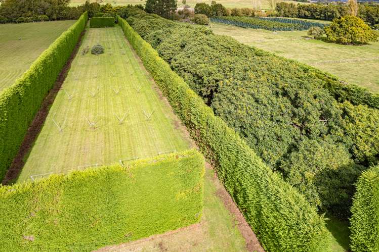 92 Riverbank Road Okoia_9