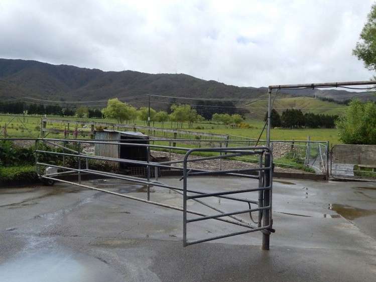 155a Marchant Road Kaitoke_8