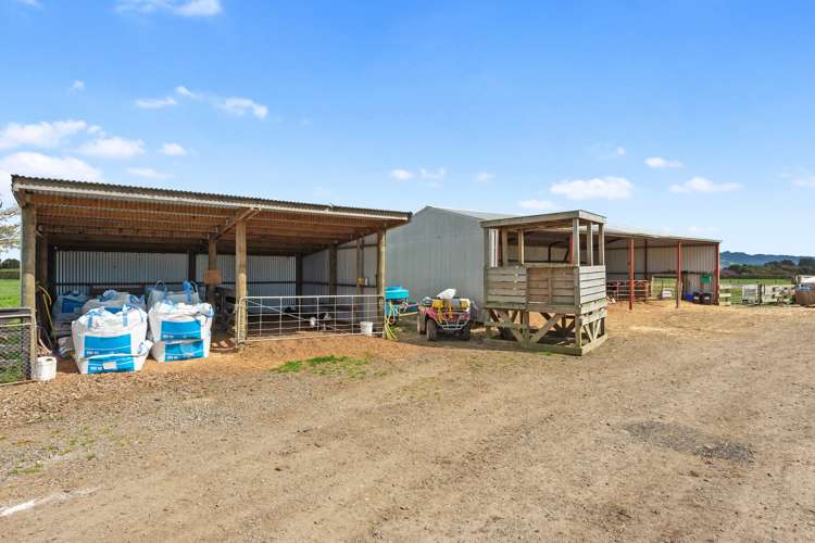 711 Horrell Road Morrinsville_10