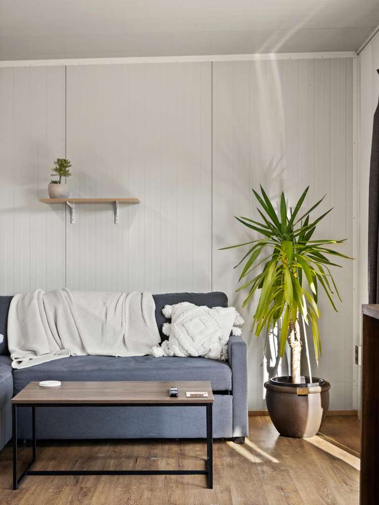 67 Brighton Road Green Island_12