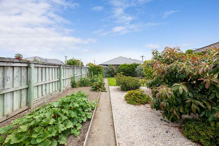 93 Old Renwick Road Springlands_19