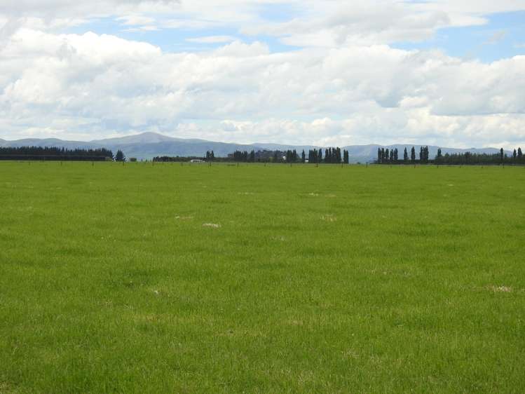 162 Longridge Village Road Gore Surrounds_16