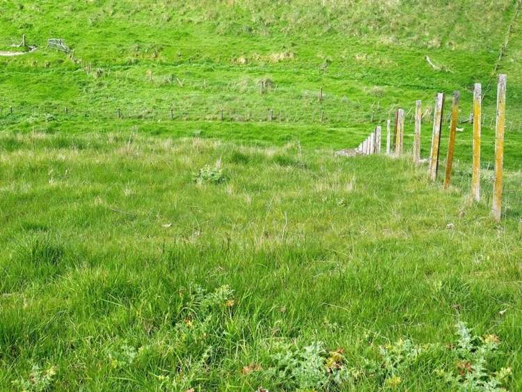 Whakapirau Road Maraekakaho_6