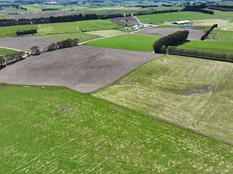 878 Downs Road Edendale_6