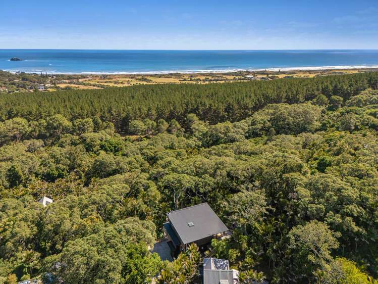 167 Motutara Road Muriwai_45