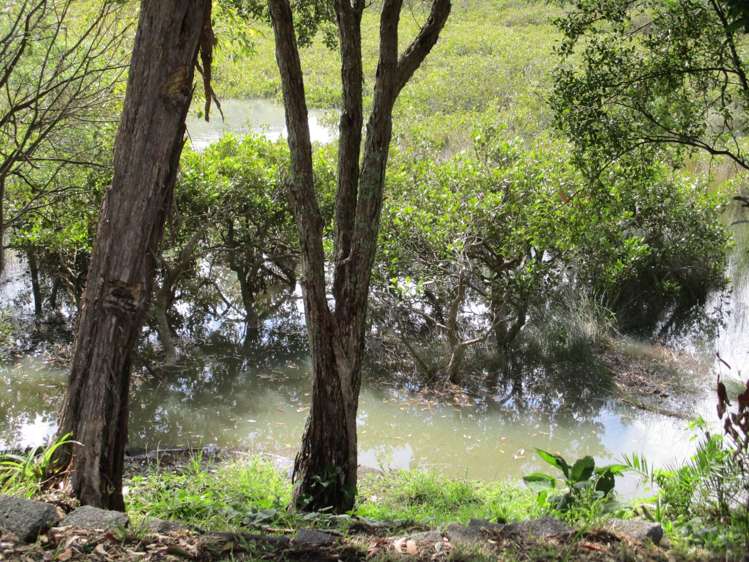 13 Mcphail Street Birkdale_18