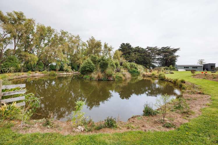 Lot LOT 2,3,4,5/36 Forest Hill Subdivision Aokautere_17