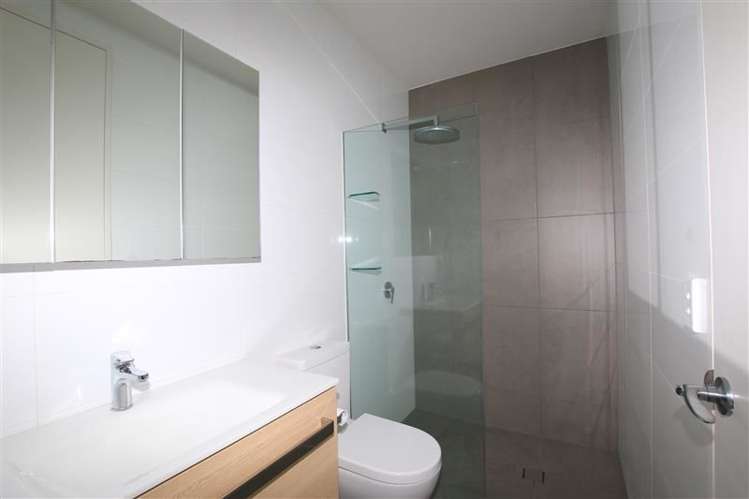 359 Murphys Road Flat Bush_5