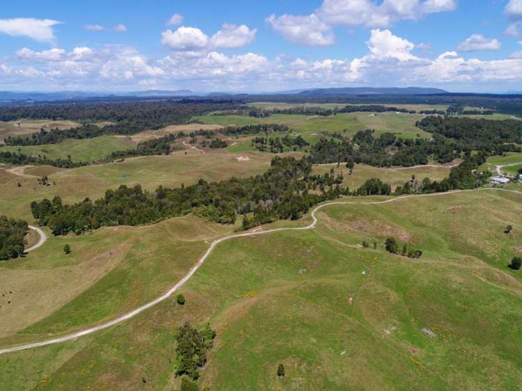 627 South Road Mamaku_14