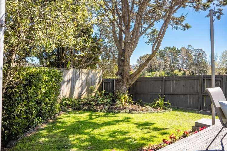 45 Fitzherbert Avenue West Harbour_40