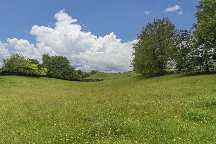 21a Hamilton Road Lake Rotoma_4