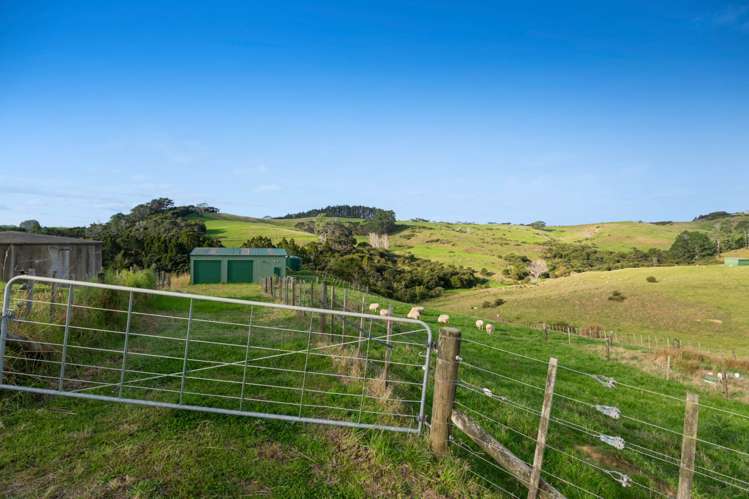 1658 Kaipara Coast Highway Kaukapakapa_31