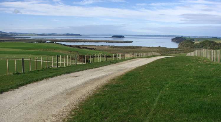 369 Burma Road Tapora_0