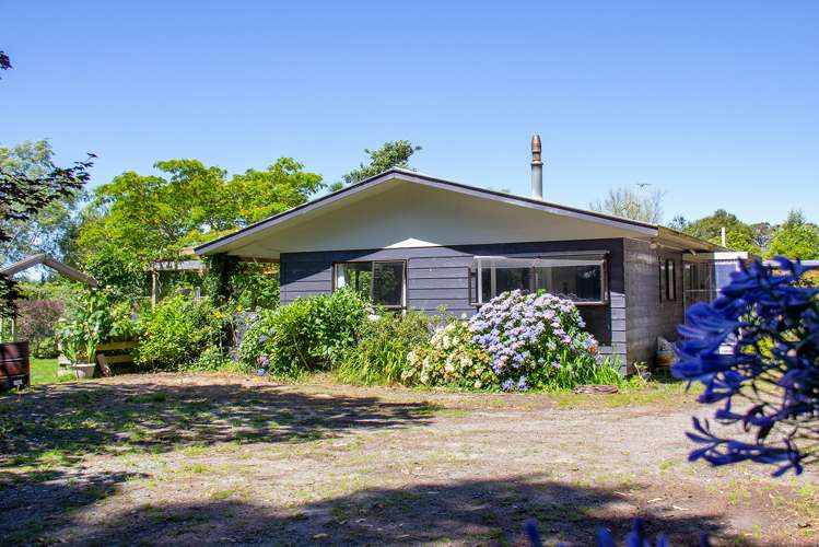 724 Norfolk Road Upper Plain_23