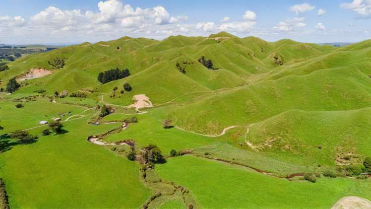 Mangaraupiu Road Eketahuna_6