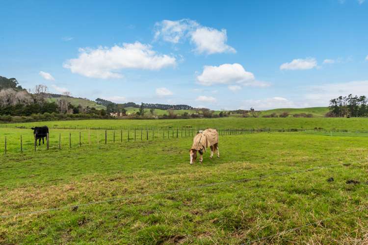 961 Tauhoa Road Kaipara Flats_30