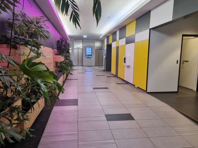 L1, 40 Taranaki Street Te Aro_1