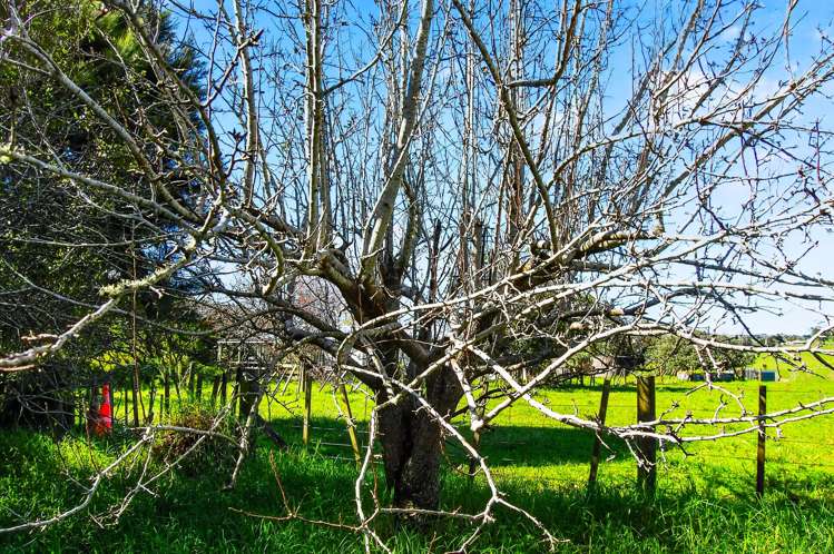 288 Valley Road Kaiwaka_12