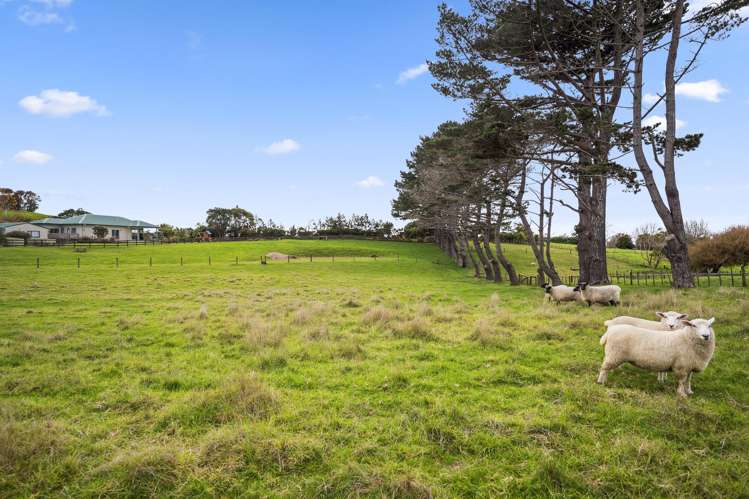 A/36 Goudie Road Helensville_37