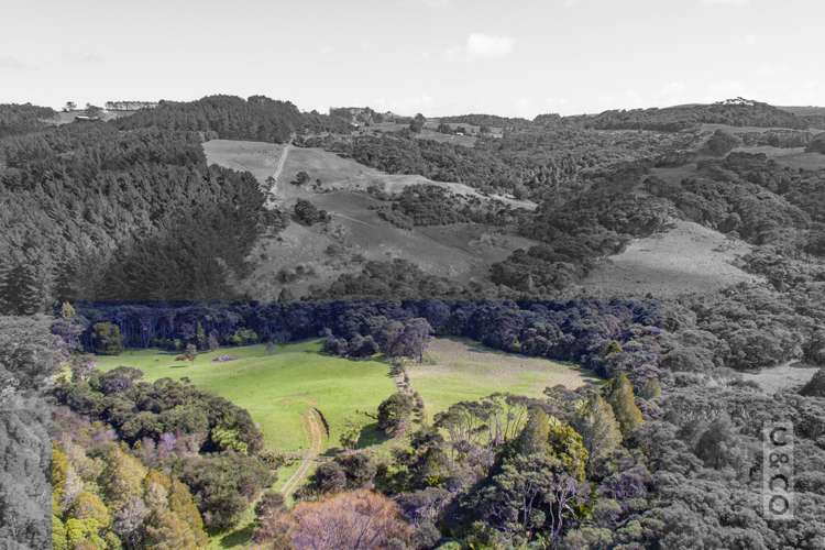 353 Taylor Road Helensville_19