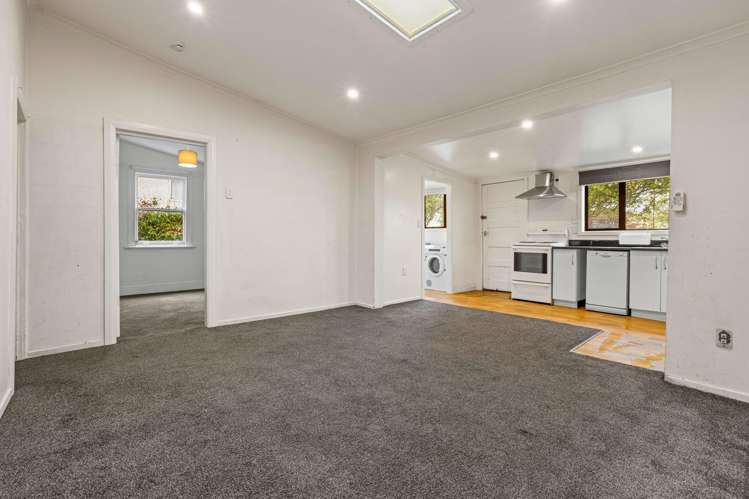155 Melbourne Street South Dunedin_6
