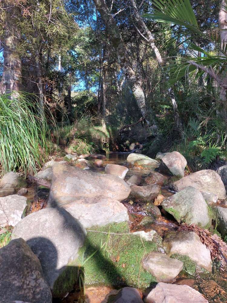 Lot 2/2084 Waiare Road Kaeo_7