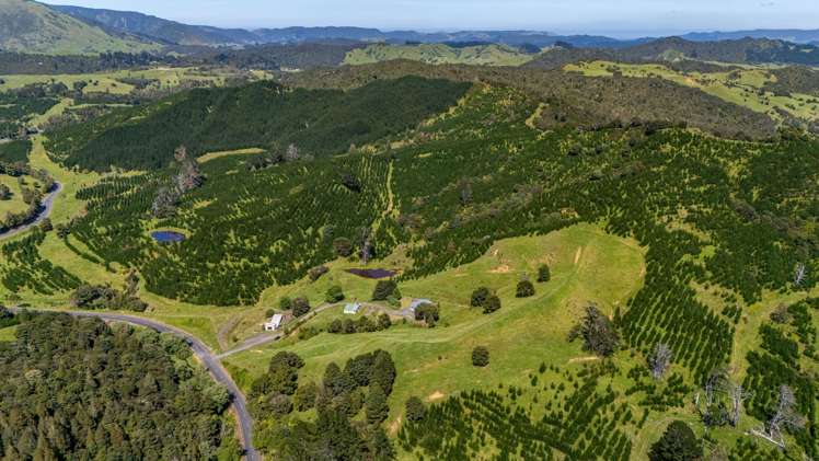 386 Pawarenga Road Broadwood_32