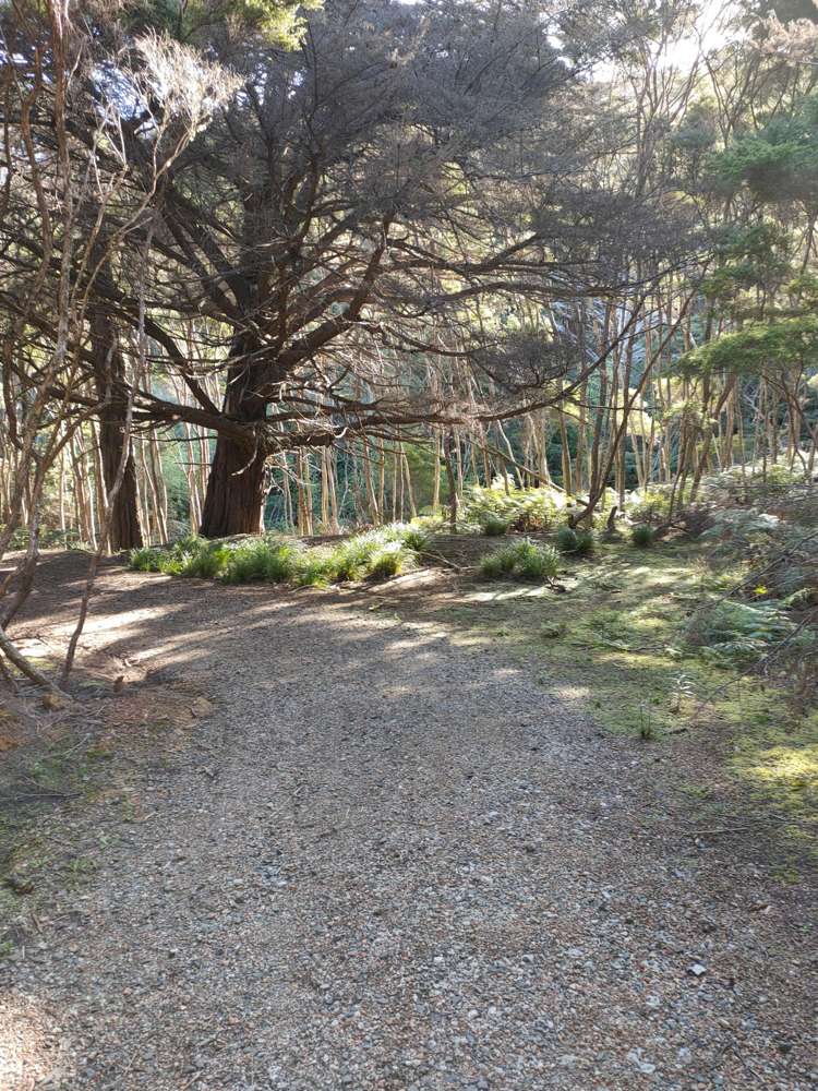 Lot 7 Smelting House Bay Kawau Island_3