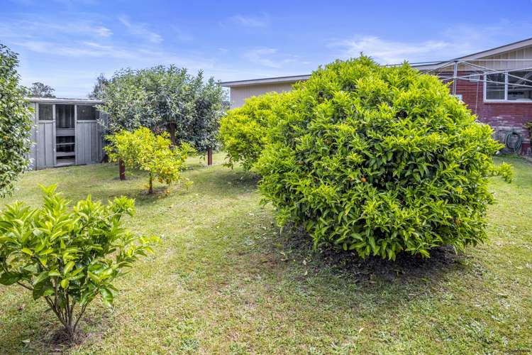 30 Ruru Crescent Putaruru_17