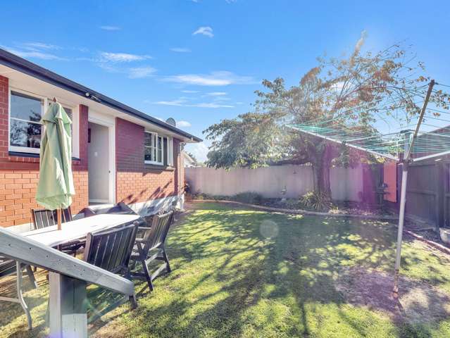 159 Archibald Street Tinwald_3