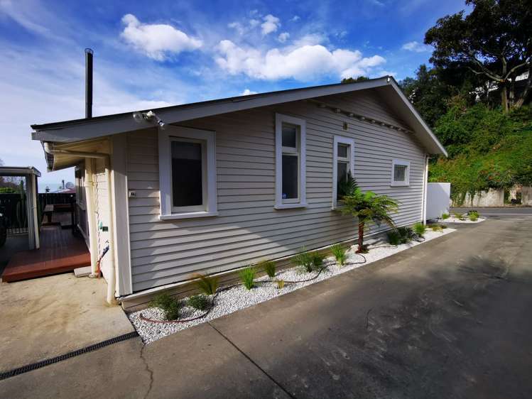 53 Shakespeare Road Bluff Hill_14