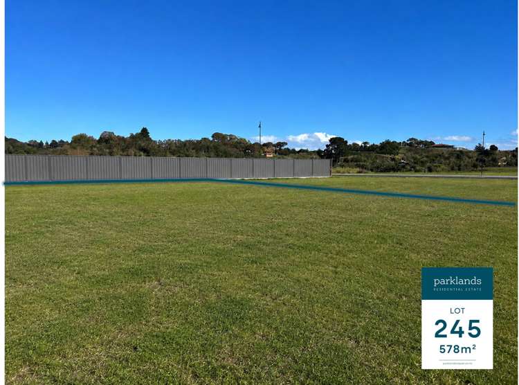 19 Waipunga Street_0