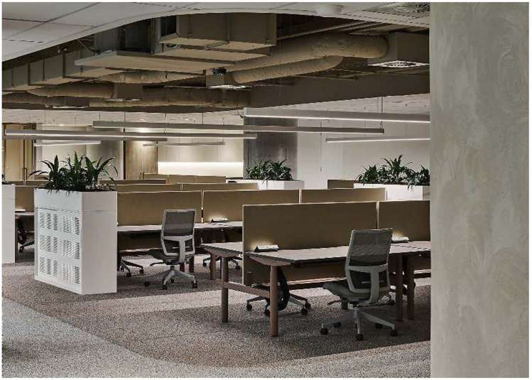 48 Shortland Street Auckland Cbd_2