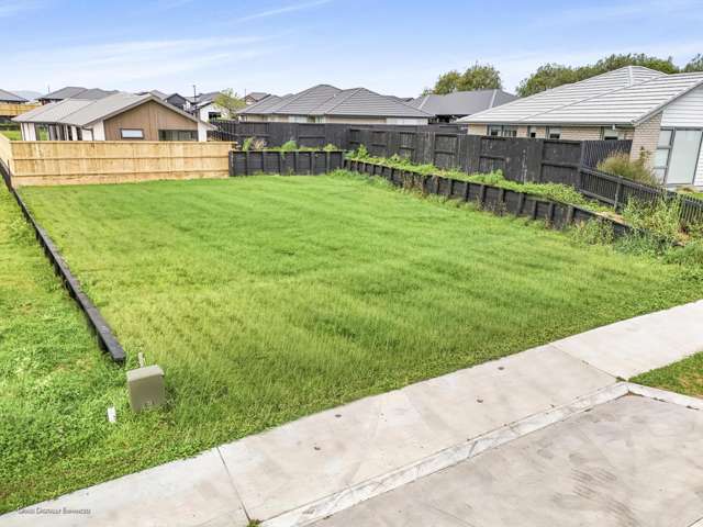 22 Harp Street Morrinsville_1