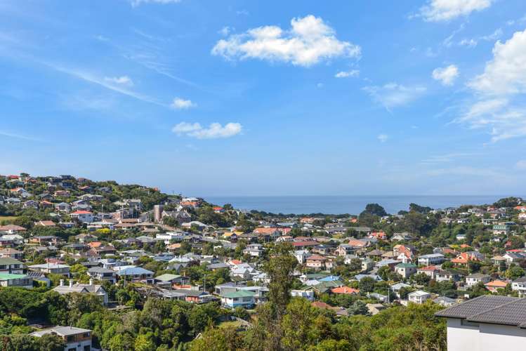 32 Eastbank Street Waverley_3