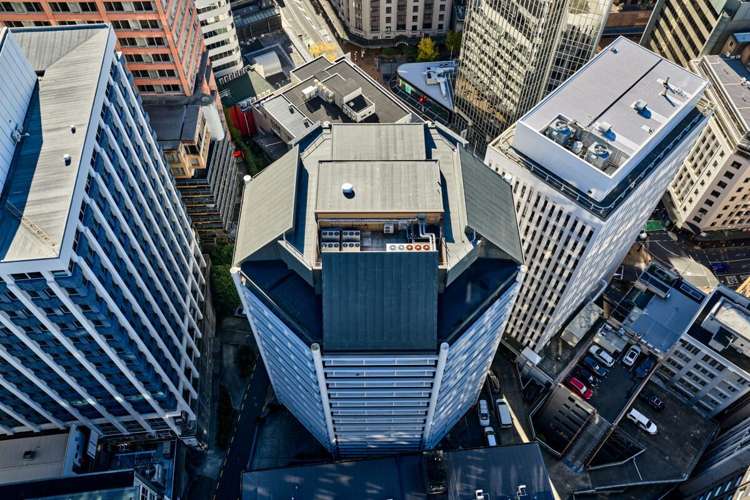 8 Gilmer Terrace Wellington Central_1