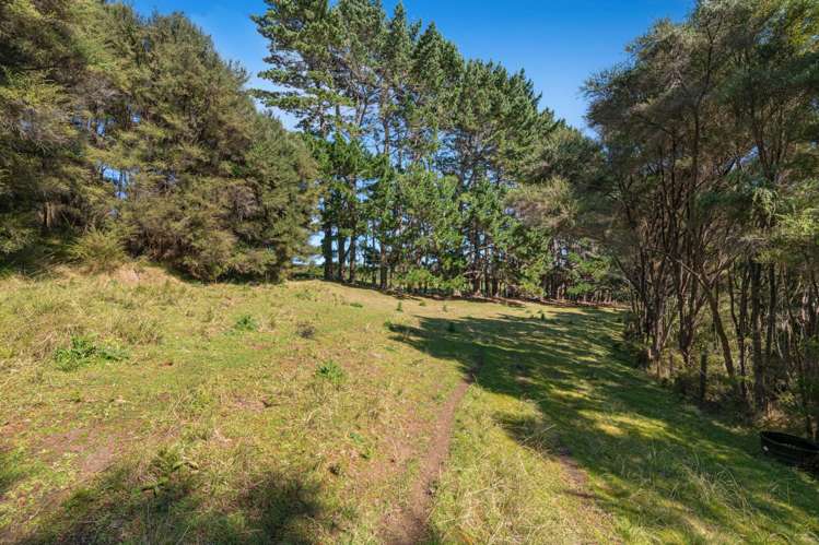 158 McLeod Road South Head_31