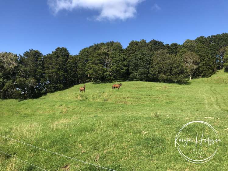 504 Wairere Road Paparoa_25