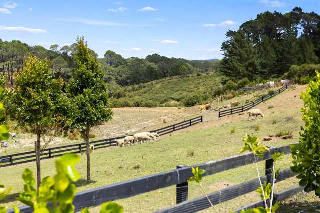 117A Potter Road Coatesville_3