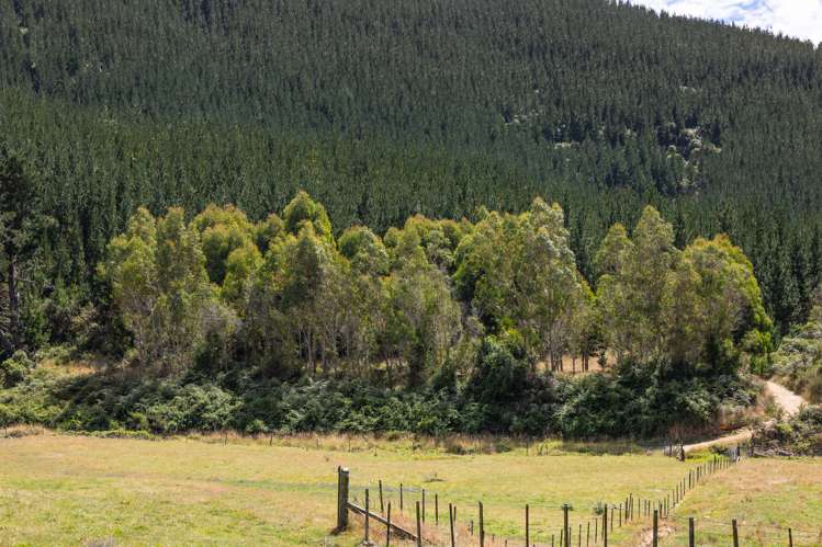 22 Hebberds Road Rai Valley_36