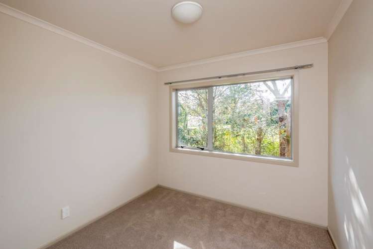 56b Keepa Street Levin_9