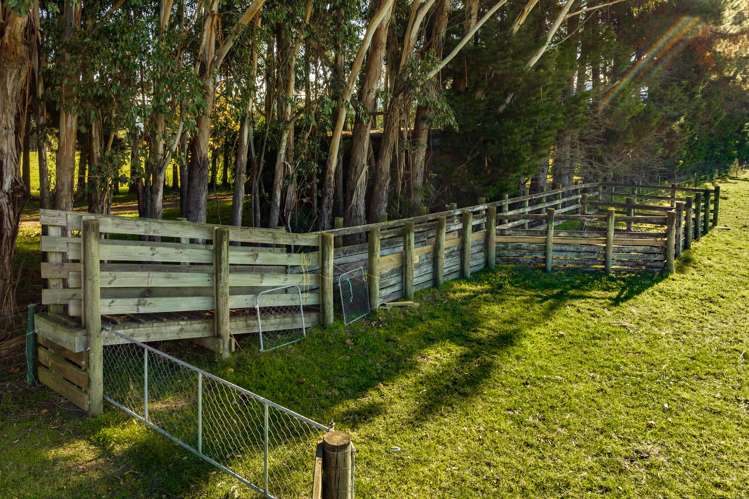 2376 State Highway 63 Wairau Valley_26