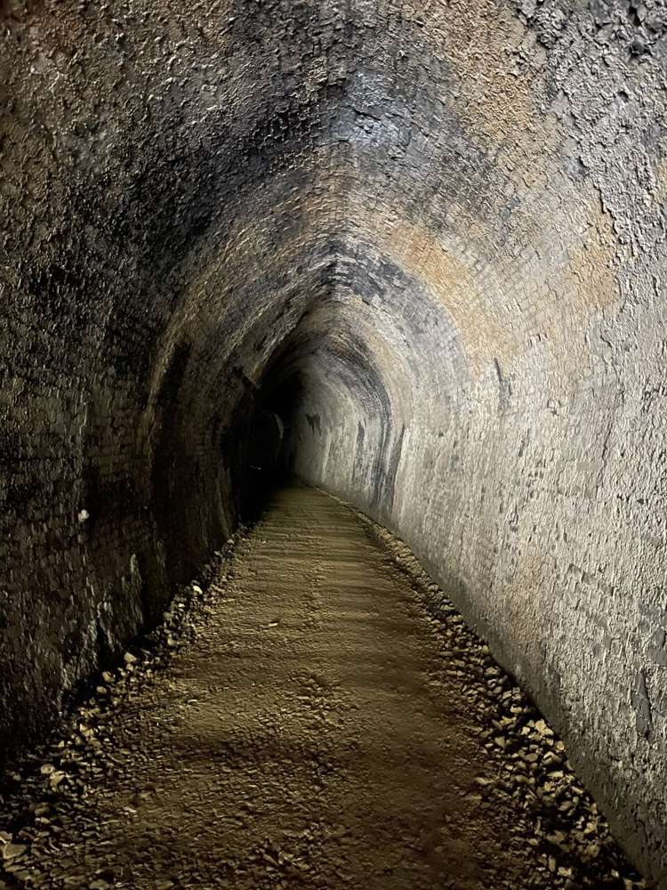 Manuka Gorge Highway Waitahuna_10